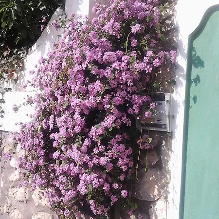 Bed and breakfast Angelide Anacapri (Isola di Capri)