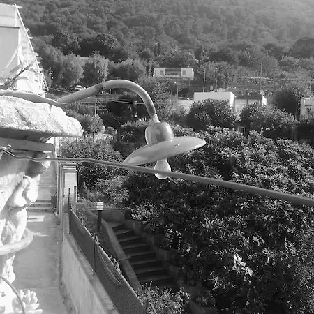 Nocleg ze śniadaniem Angelide Anacapri (Isola di Capri)