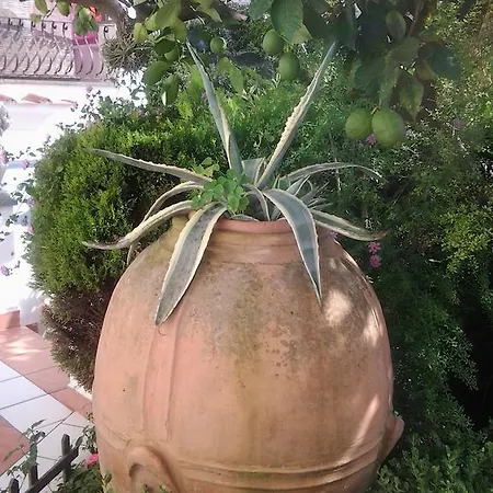 Alojamento de Acomodação e Pequeno-almoço Angelide 4*